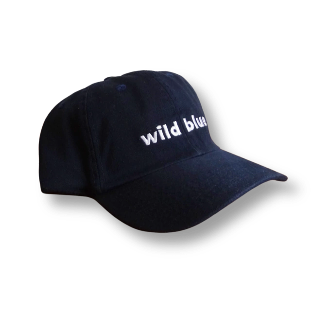 BONÉ WILD BLUE